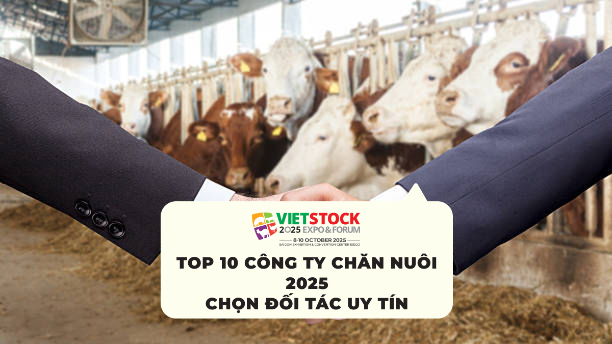 Top 10 công ty chăn nuôi 2025 Chọn đối tác uy tín